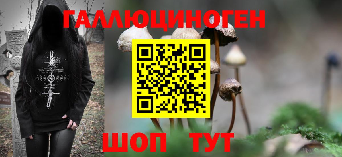Изобильный  Псилоцибиновые грибы Psilocybe  Вход с VPN  Галлюциногенные грибы GOLDEN TEACHER 