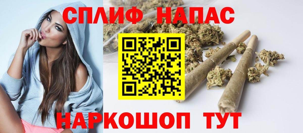 Каннабис планчик Изобильный